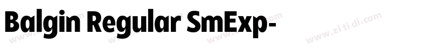 Balgin Regular SmExp字体转换